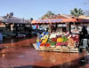 Fish Market