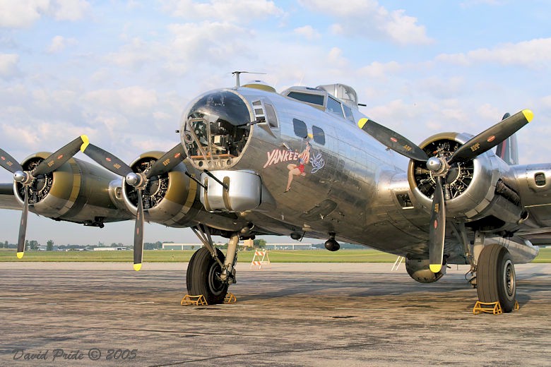 Yankee Lady