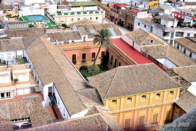 Courtyard House