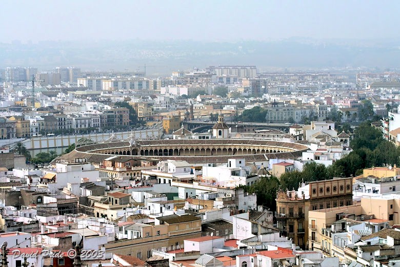 Bullfighting Ring of the Real Maestranza