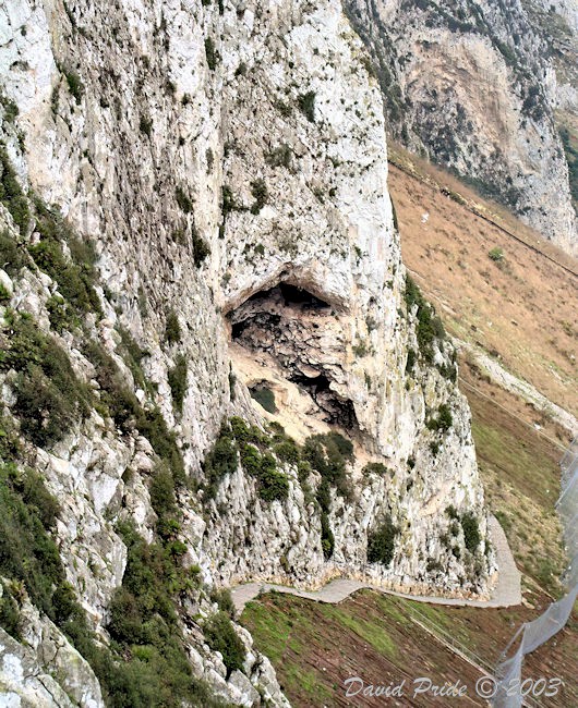 Siege Tunnels