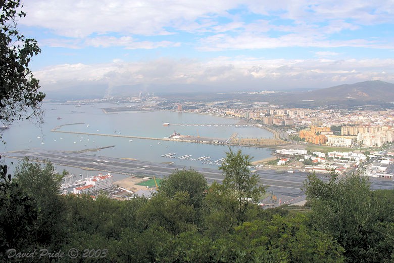Algeciras