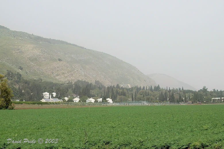 Mount Gilboa