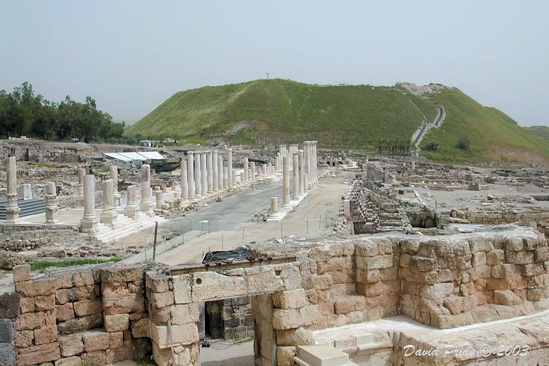 Palladius Street