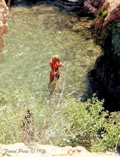 Ein Gedi Nature Reserve