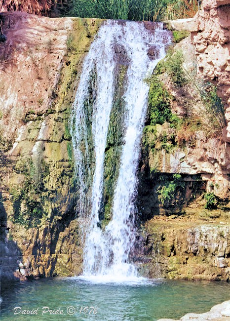 Ein Gedi Nature Reserve