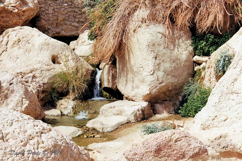 Ein Gedi Nature Reserve