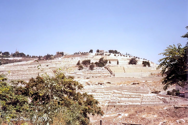 Mount Scopus