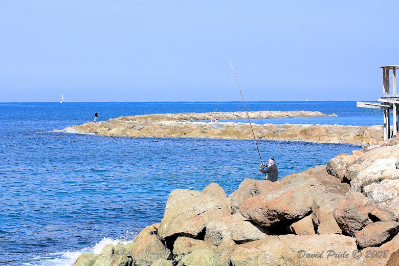 Tel Aviv Shoreline