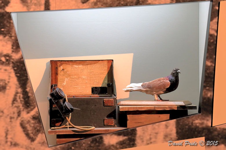 Fullerphone and Winged Messenger