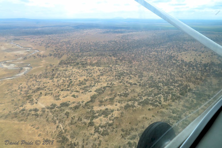 Flight to Tarangire National Park