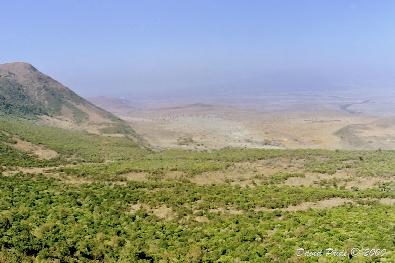 Great Rift Valley