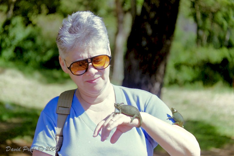 Wife with Chameleons
