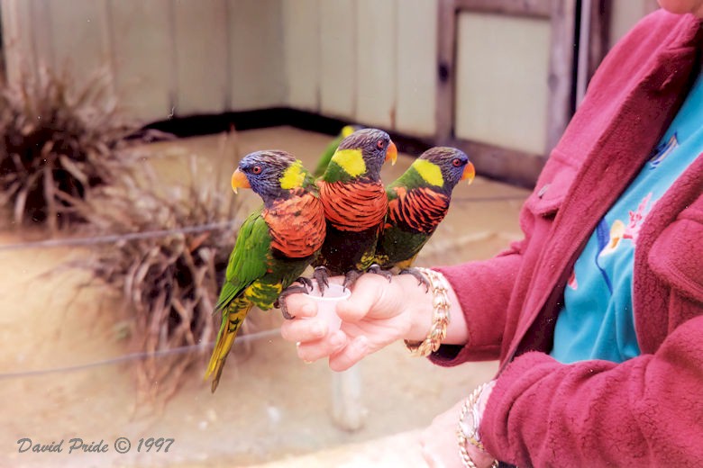San Diego Zoo
