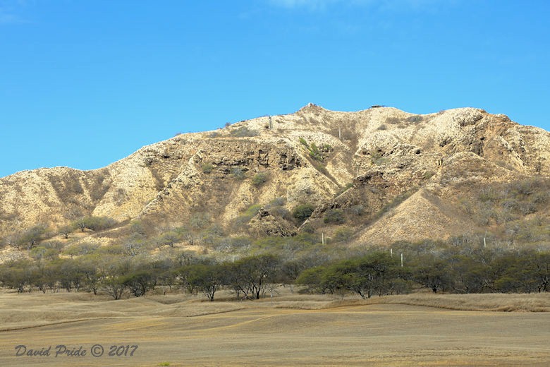 Diamond Head