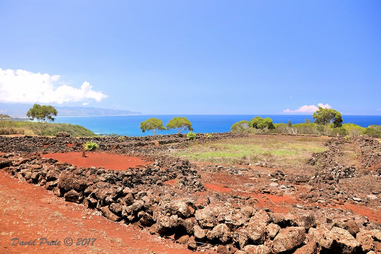Puʻu o Mahuka Heiau