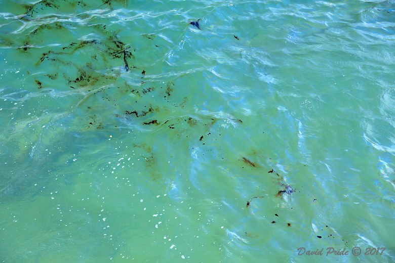 USS Arizona Memorial