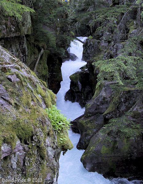 Avalanche Creek