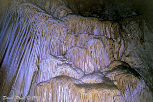 Carlsbad Caverns