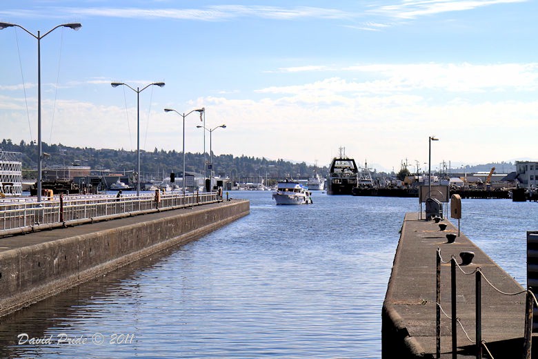 Ballard Locks